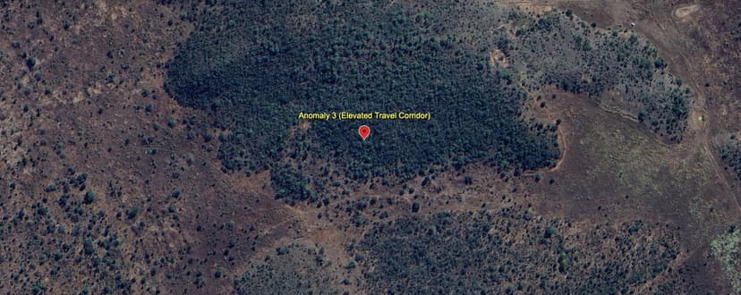 Anomaly #3: The Ring Ditch